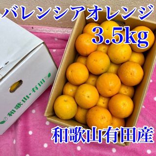 和歌山有田産 バレンシアオレンジ(3.5kg)(フルーツ)