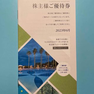 東急不動産 株主優待券2023年6月(その他)