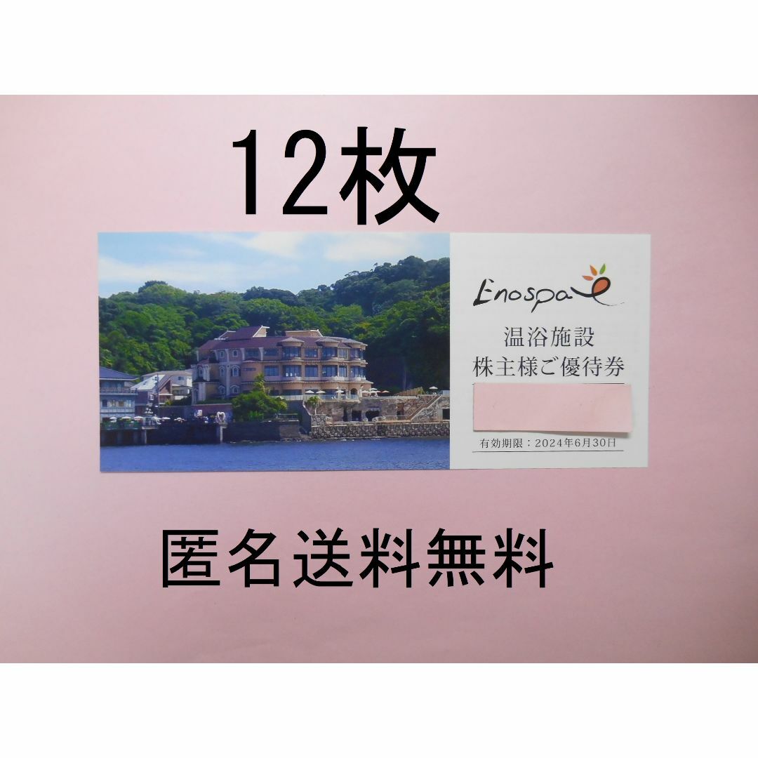 飯田グループ 株主優待 １２枚 江の島アイランドスパ www ...