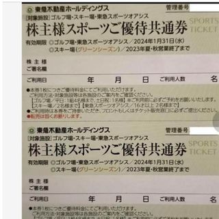 東急不動産株主優待券(株主スポーツ優待共通券)2枚+ミッキーチャック付整理袋1枚(その他)