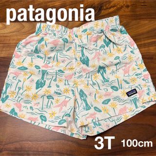 パタゴニア(patagonia)のパタゴニア✴︎キッズバギーズショーツ3T(パンツ/スパッツ)