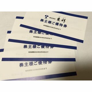 東祥 株主優待券 4枚 ホリデースポーツクラブ 2024年6月末(フィットネスクラブ)
