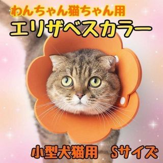 エリザベスカラー　Sサイズ　猫　犬　ソフト素材　オレンジ(猫)