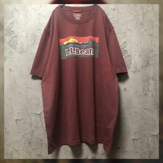 エルエルビーン ロゴ Tシャツ・カットソー(メンズ)の通販 31点 | L.L. ...