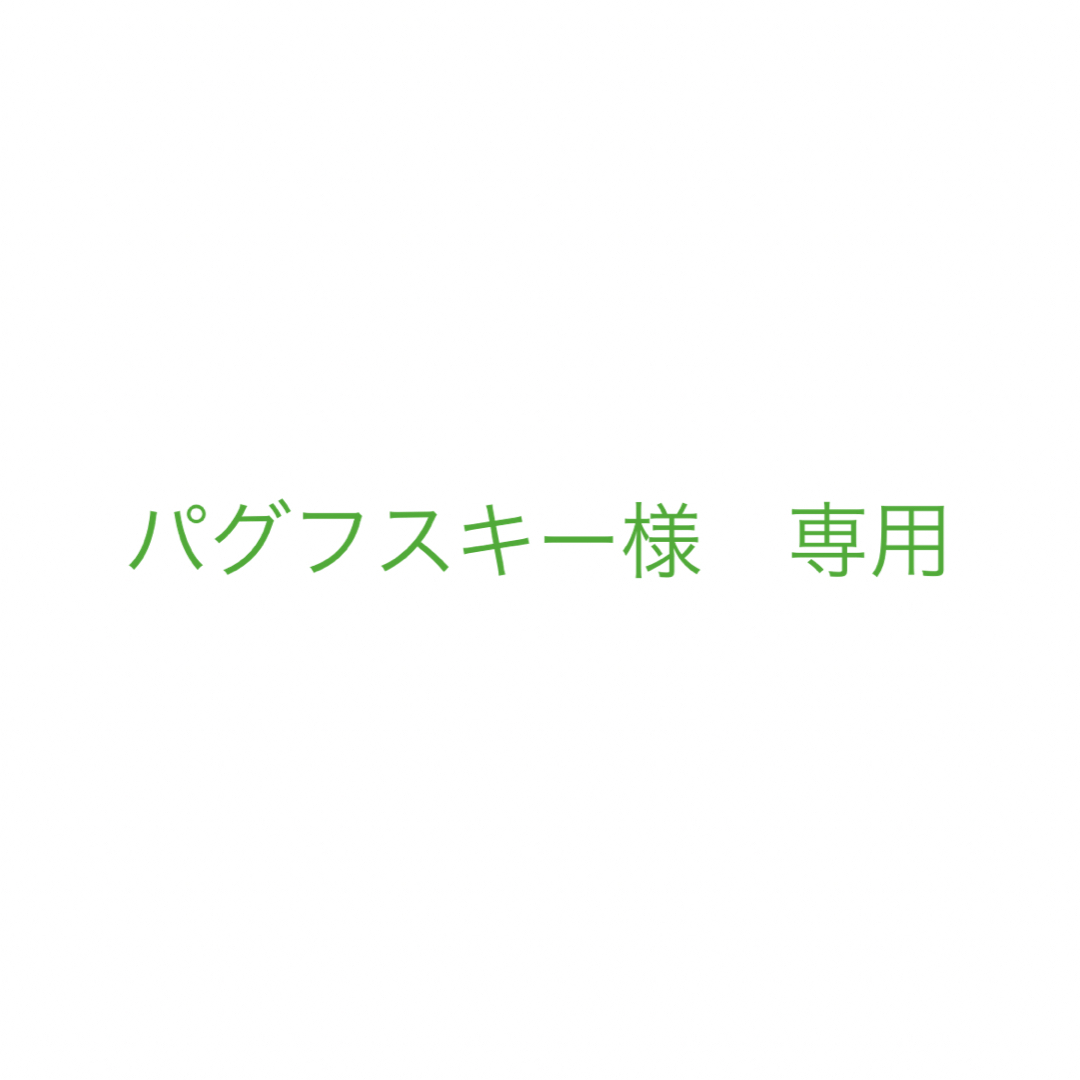 パグフスキー様　専用 その他のその他(その他)の商品写真