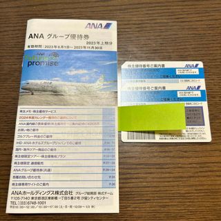 エーエヌエー(ゼンニッポンクウユ)(ANA(全日本空輸))のANA株主優待券２枚(その他)