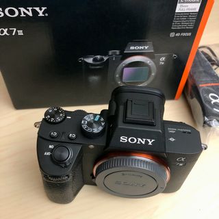 ソニー(SONY)のα7Ⅲ  ILCE-7M3 シャッター数5620(ミラーレス一眼)