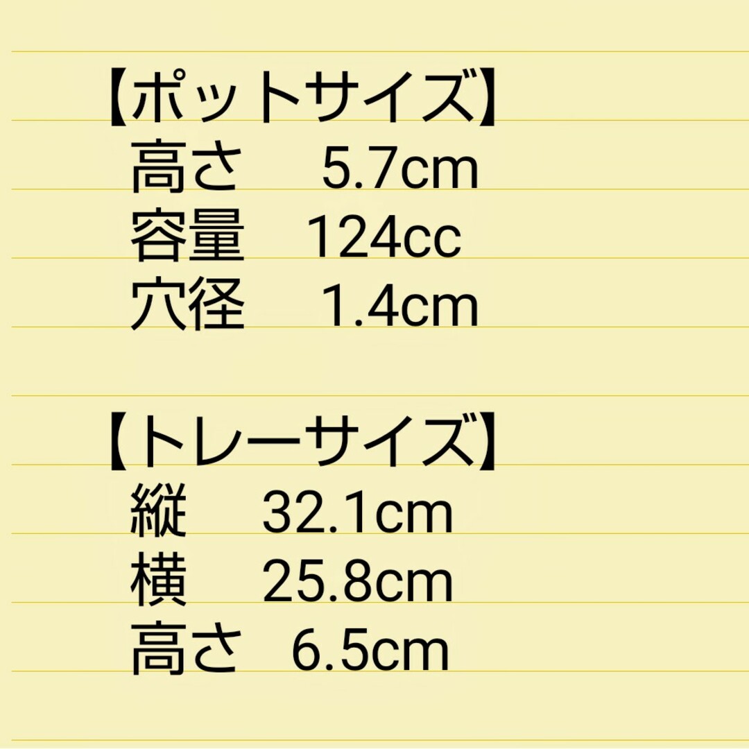 半透明ビニールポット2号100個+ハーフトレー5枚プラ鉢スリット鉢