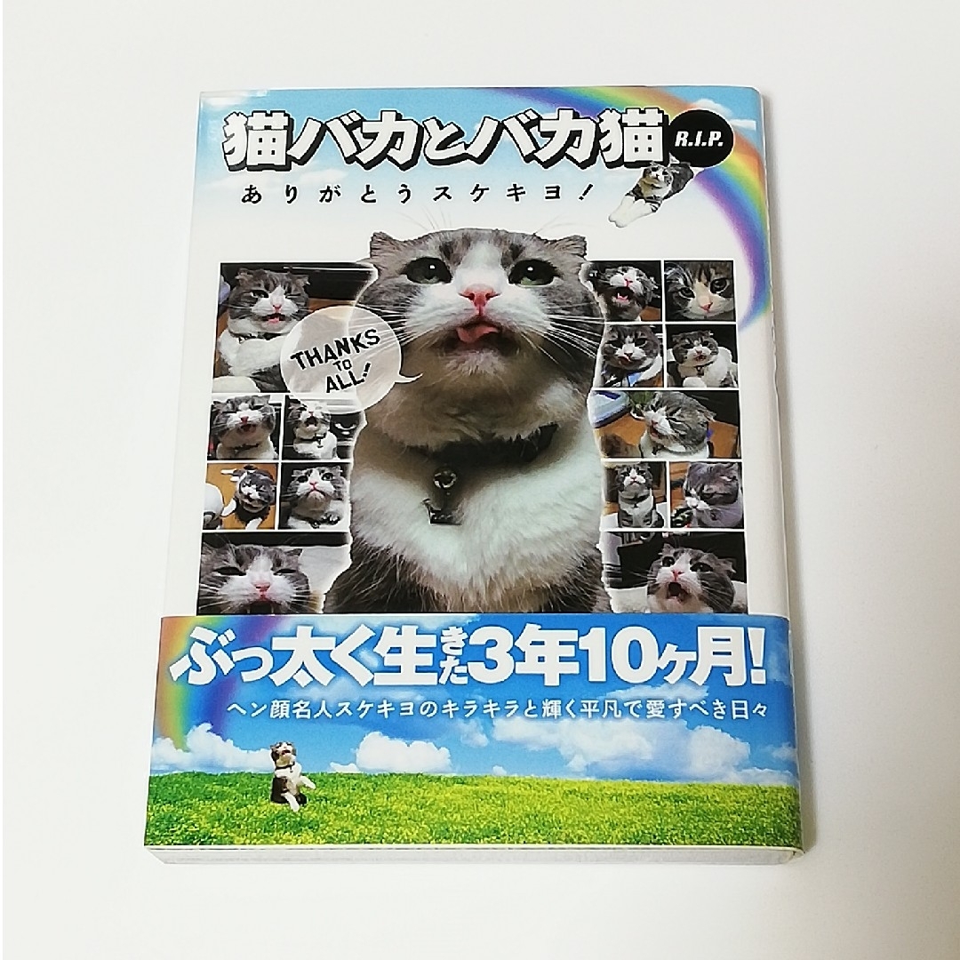 猫バカとバカ猫Ｒ．Ｉ．Ｐ． ありがとうスケキヨ！ エンタメ/ホビーの本(住まい/暮らし/子育て)の商品写真