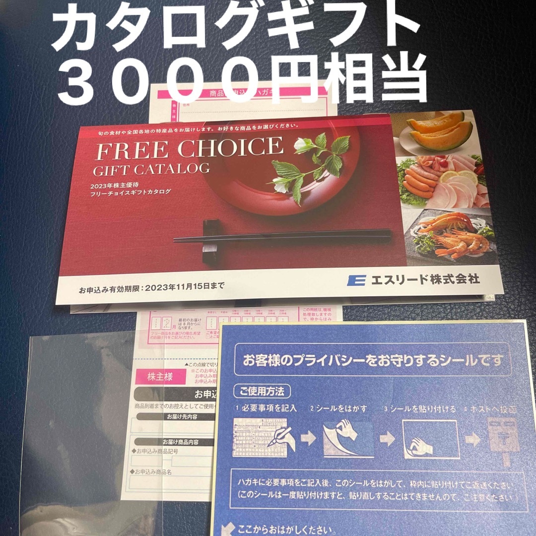最新　エスリード　株主優待　カラログギフト　3000円ｘ3セット　送料無料