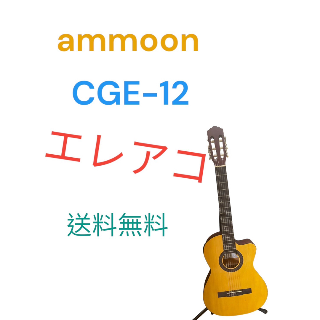 ammoon エレアコ