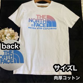 ザノースフェイス(THE NORTH FACE)の美品【肉厚】THE NORTH FACEロゴTシャツLサイズ* ピンク×青グラデ(Tシャツ(半袖/袖なし))