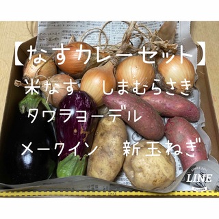 【大阪北摂・無農薬栽培・里山市場の夏カレーセット】(野菜)