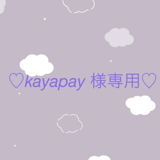 エーエヌエー(ゼンニッポンクウユ)(ANA(全日本空輸))のkayapay様専用(その他)