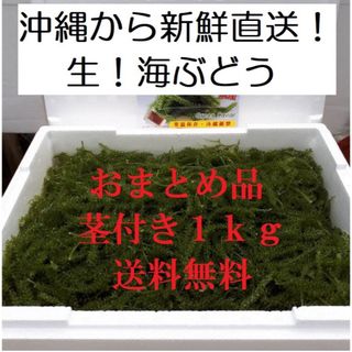 茎付き　生！海ぶどう１ｋｇ（シークヮーサー果汁入りタレ付）おまとめお買得商品！(その他)