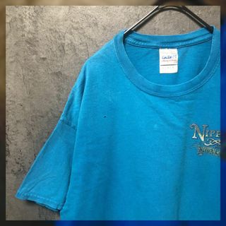 ギルタン(GILDAN)の【GILDAN】Lsize プリントTシャツ ブルー US古着 ビーチ 鰐 ワニ(Tシャツ/カットソー(半袖/袖なし))