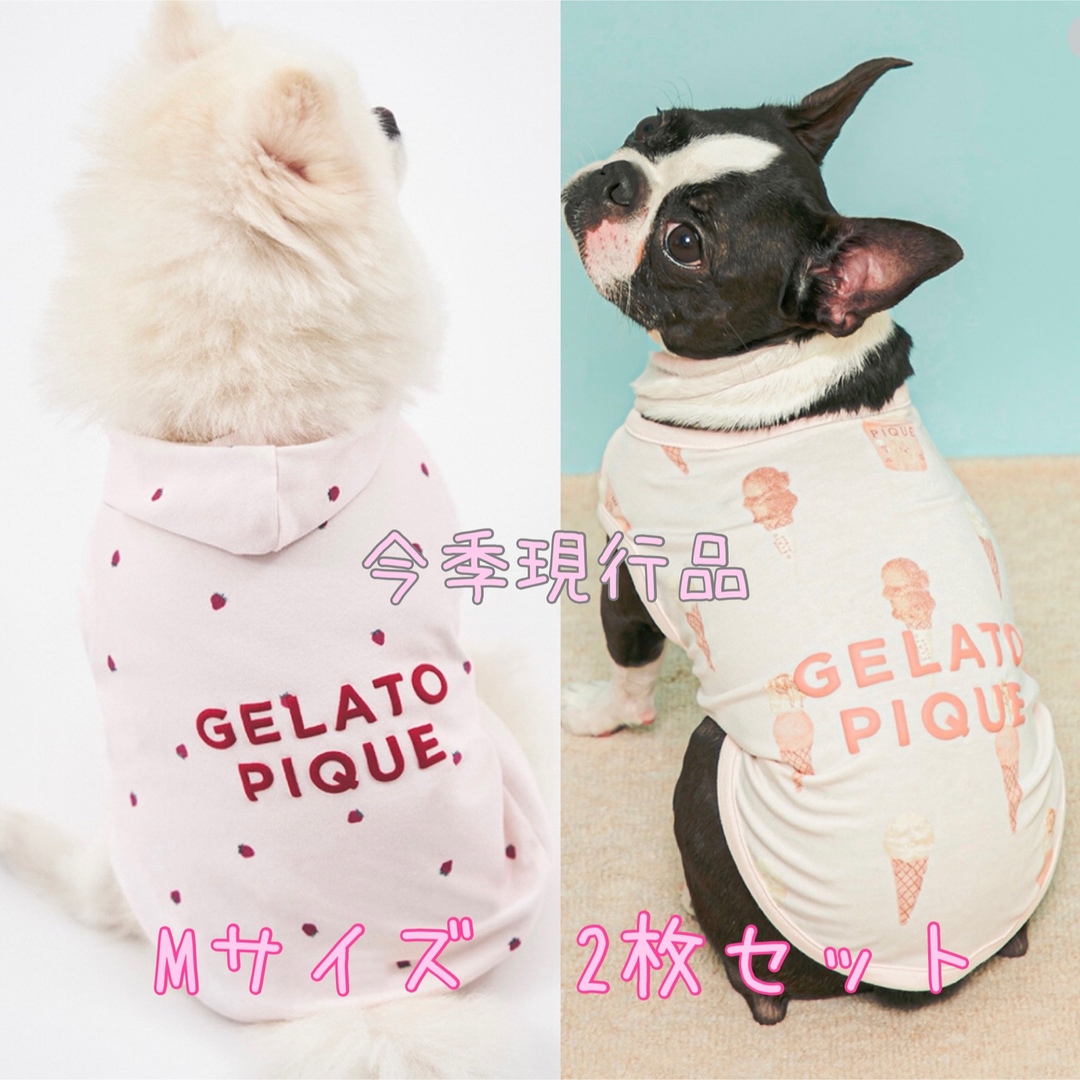 タグ付き新品　ジェラートピケ　DOG 犬用服　Mサイズ　2枚セット