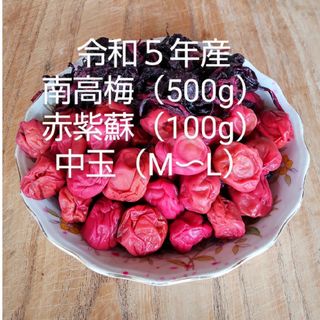 昔ながらの梅干し　南高梅干し　中玉【M〜L】（500g）赤紫蘇（100g）無添加(漬物)