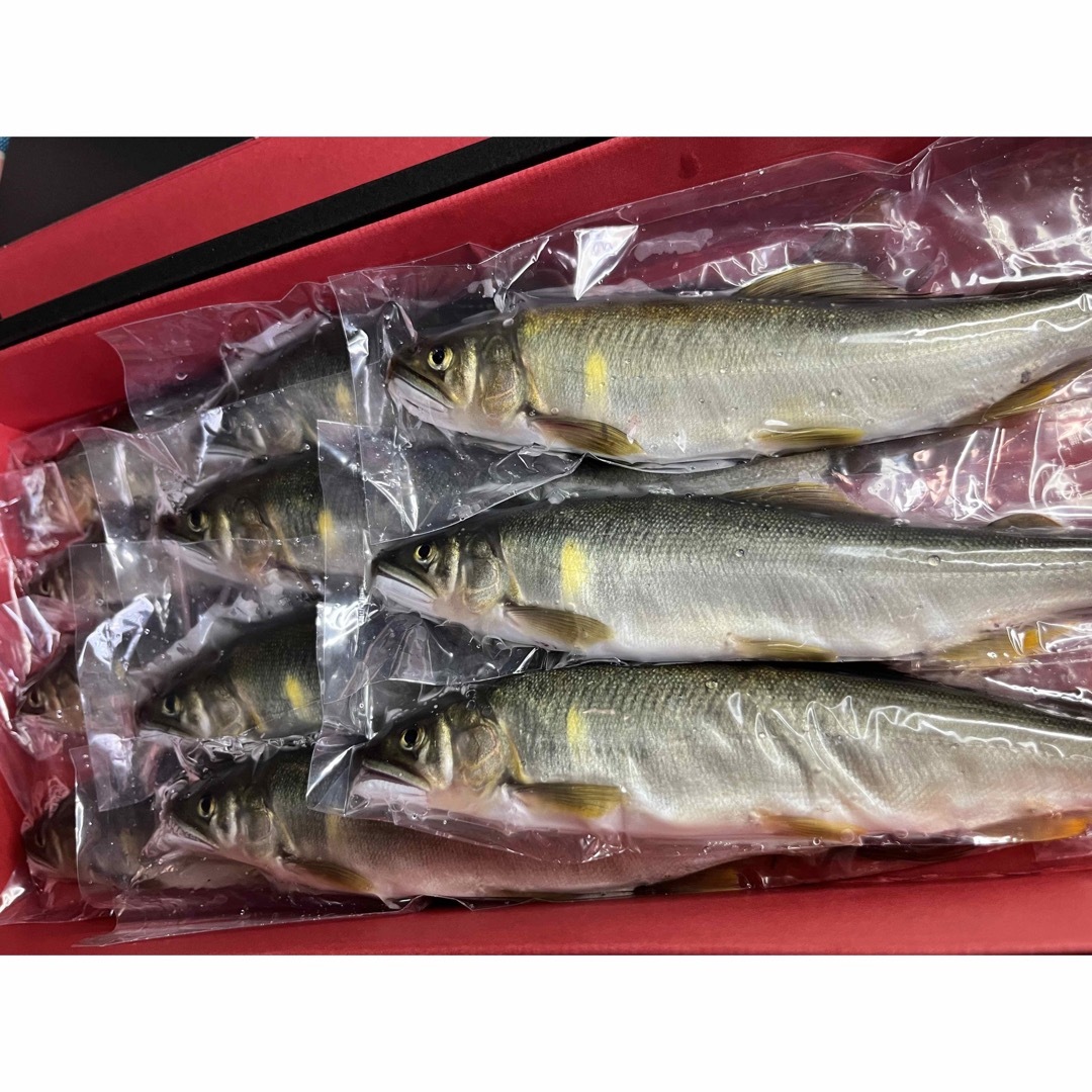 鮎　13cm〜16cm  冷凍40匹 食品/飲料/酒の食品(魚介)の商品写真