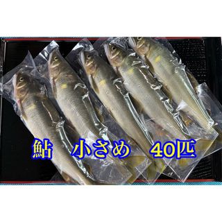 鮎　13cm〜16cm  冷凍40匹(魚介)