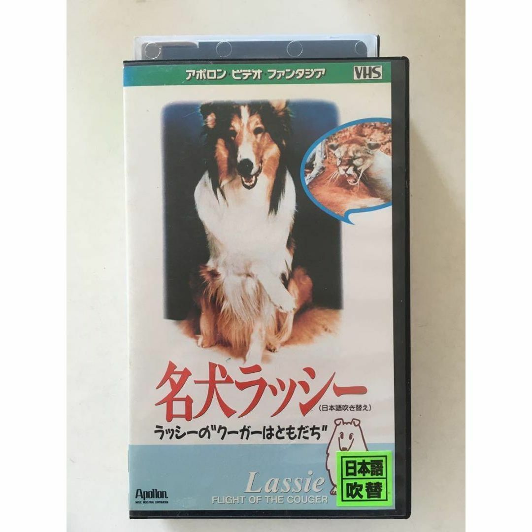 ☆中古ビデオ　名犬ラッシー／ラッシーの“クーガーはともだち”　【日本語吹替】 エンタメ/ホビーのDVD/ブルーレイ(キッズ/ファミリー)の商品写真