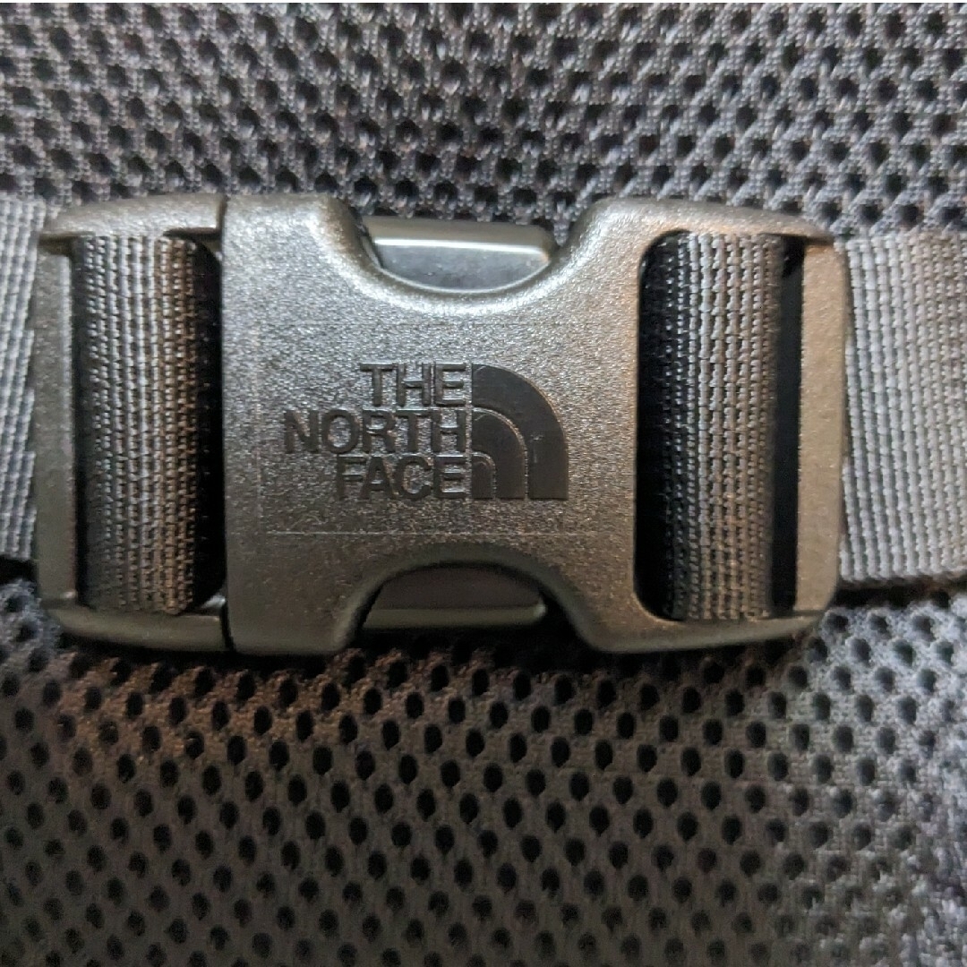 新品未使用 The North Face Metallic Waist Bag