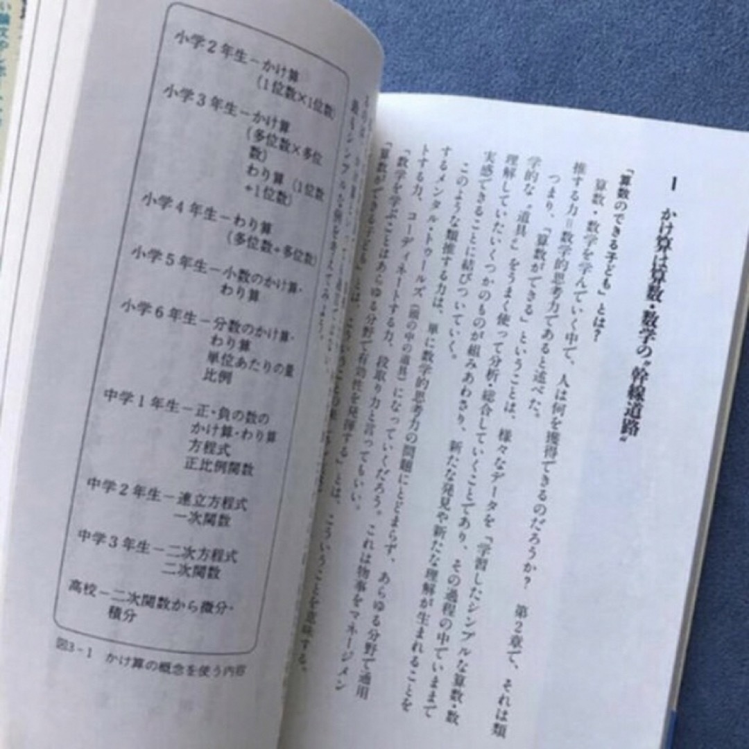 講談社(コウダンシャ)の★「算数のできる子どもを育てる」木幡 寛/講談社/2000年発行★ エンタメ/ホビーの本(住まい/暮らし/子育て)の商品写真