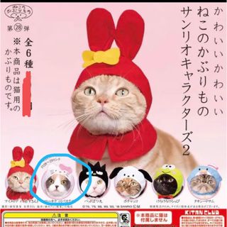 サンリオ(サンリオ)のサンリオ♡猫のかぶりものガチャ♡キティ♡パステル(猫)