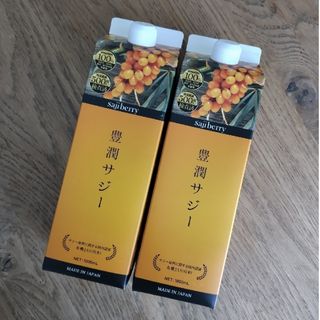 フィネス(Finess)の*即日発送*【7/1到着 • 新品未開栓】豊潤サジー 1,000ml ×2本(その他)