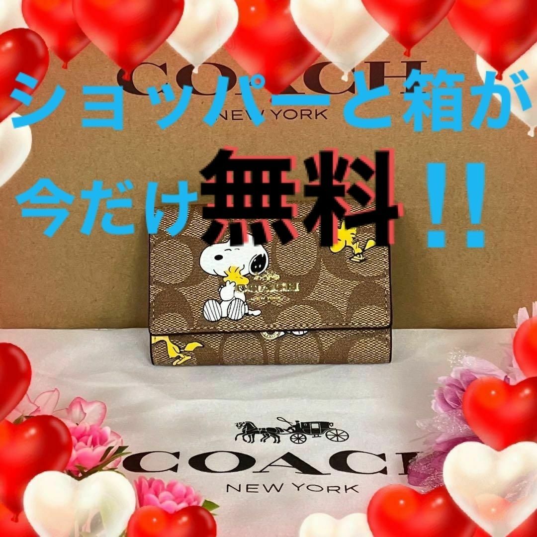 新品　未使用　coach コーチ　キーケース　スヌーピー　ピーナッツ　プレゼント