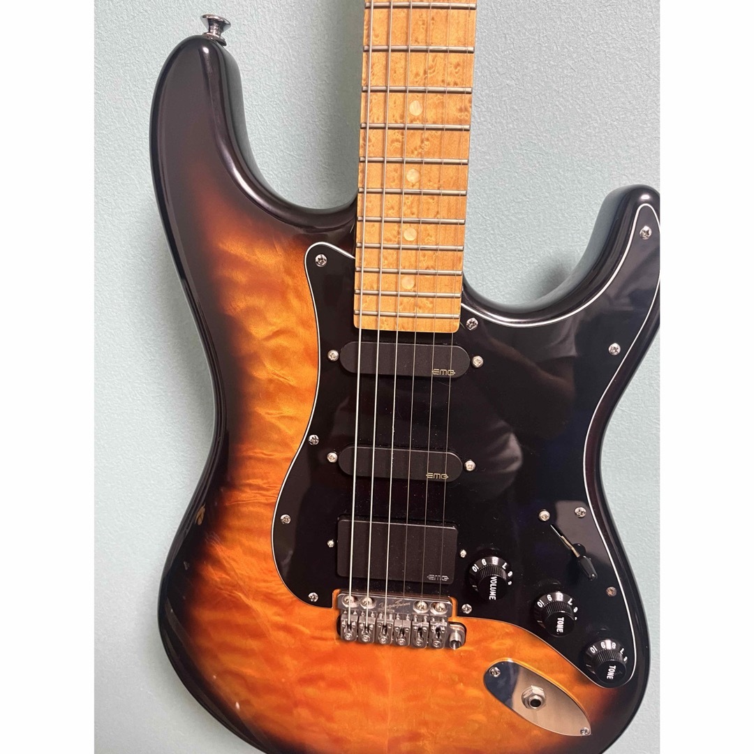 Valley Arts Guitar Custom Pro