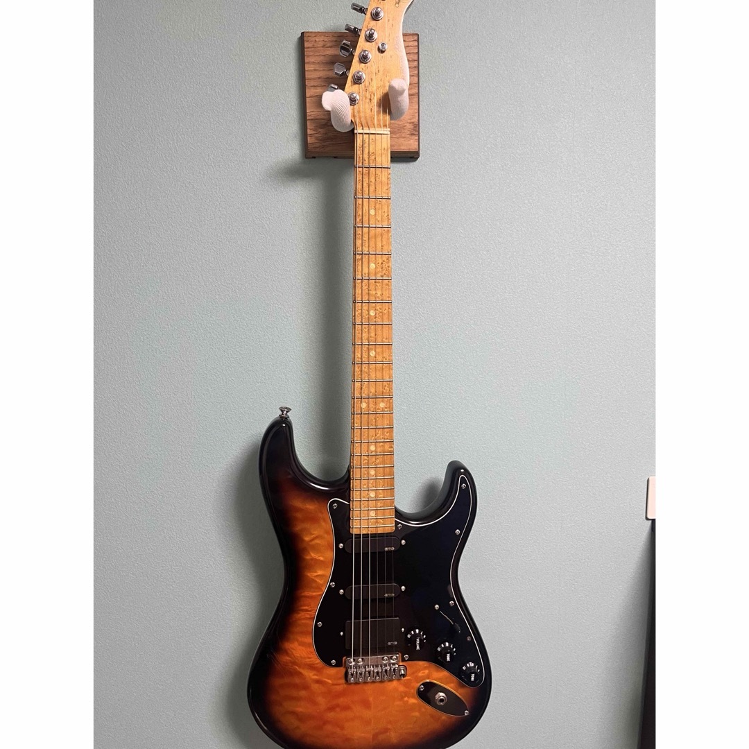 Valley Arts Guitar Custom Pro