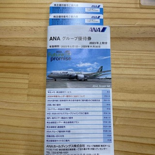 エーエヌエー(ゼンニッポンクウユ)(ANA(全日本空輸))の最新版/ANA/全日空/株主優待券2枚/2024年5月31日期限(航空券)