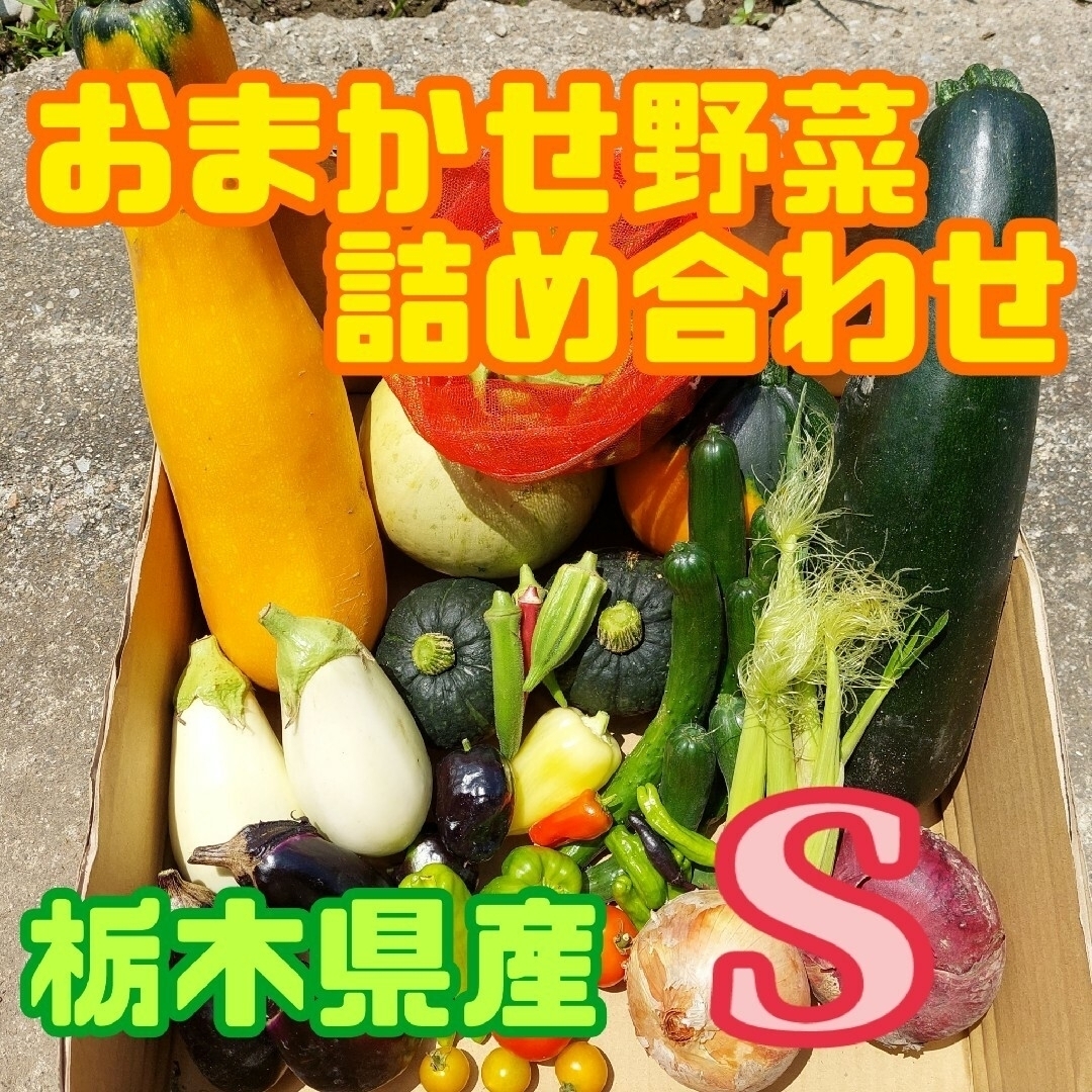 おまかせ野菜詰め合わせBOX【S】 食品/飲料/酒の食品(野菜)の商品写真