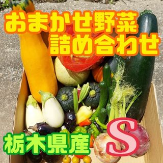 おまかせ野菜詰め合わせBOX【S】(野菜)