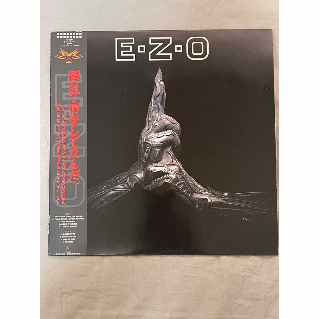 EZO レコード　レア　希少