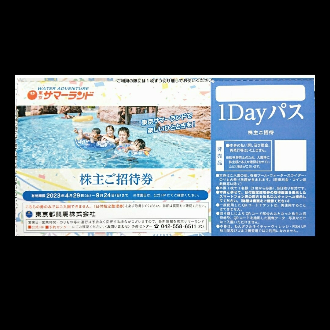 東京サマーランド 株主ご招待券 ４枚 1Dayパス 東京都競馬  株主優待券 チケットの施設利用券(プール)の商品写真