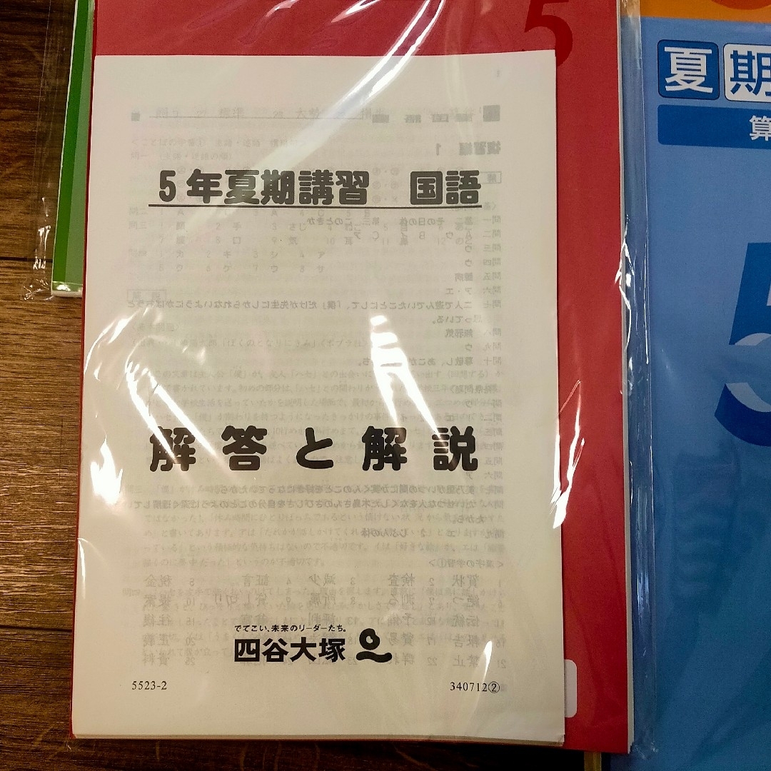 四谷大塚　夏期講習　5年　裁断済み　国語　算数　理科　社会 エンタメ/ホビーの本(語学/参考書)の商品写真