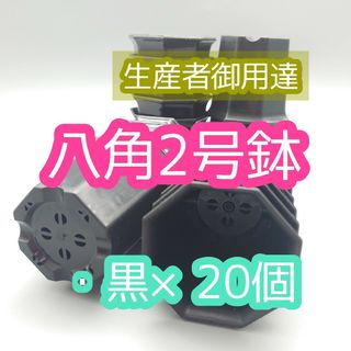 八角鉢 黒 20個 2号 2寸 シャトル鉢 多肉植物 アカ サボテン 多肉植物(プランター)