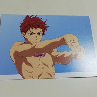 Free! 橘真琴 非売品