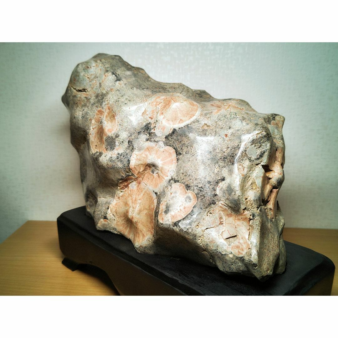 梅花石 16.8kg 菊花石 菊紋石 牡丹石 紋石  原石 鑑賞石 自然石 水石