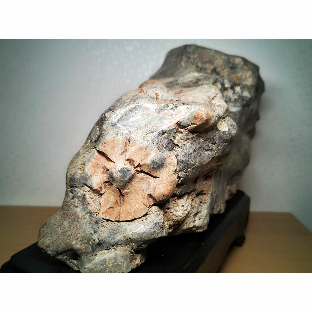 梅花石 16.8kg 菊花石 菊紋石 牡丹石 紋石  原石 鑑賞石 自然石 水石