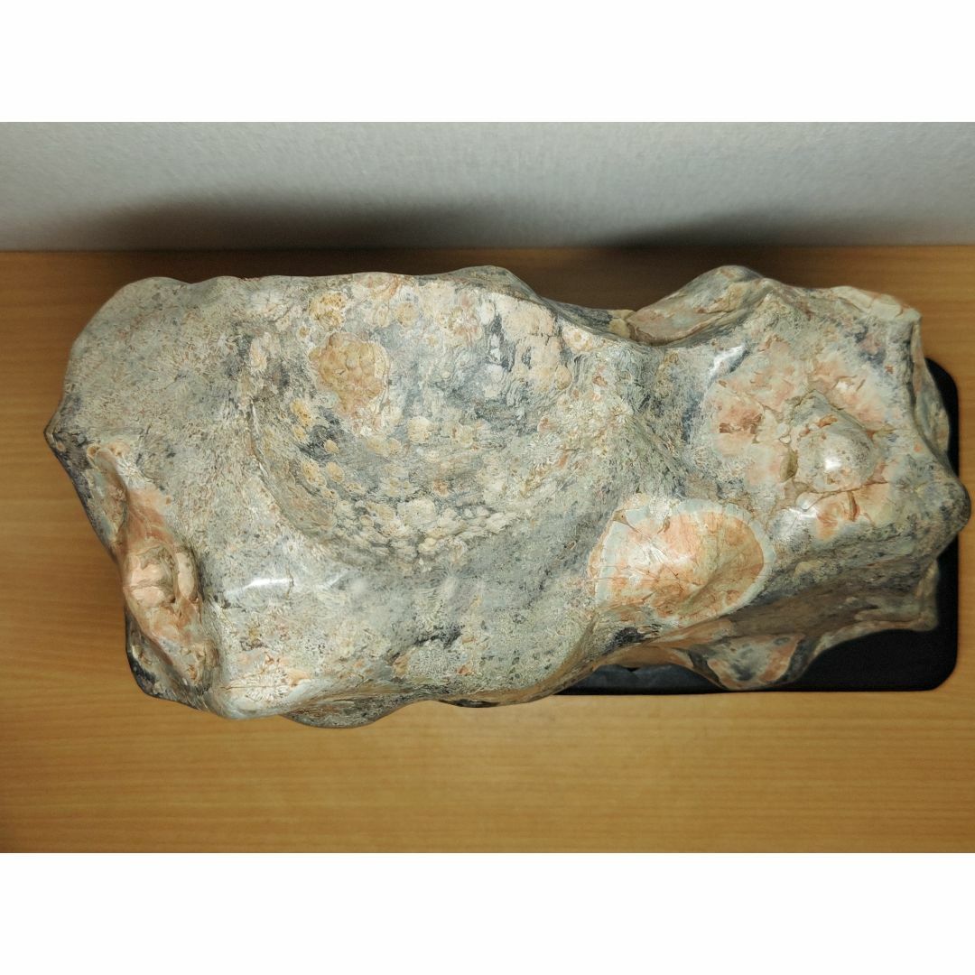 梅花石 16.8kg 菊花石 菊紋石 牡丹石 紋石  原石 鑑賞石 自然石 水石