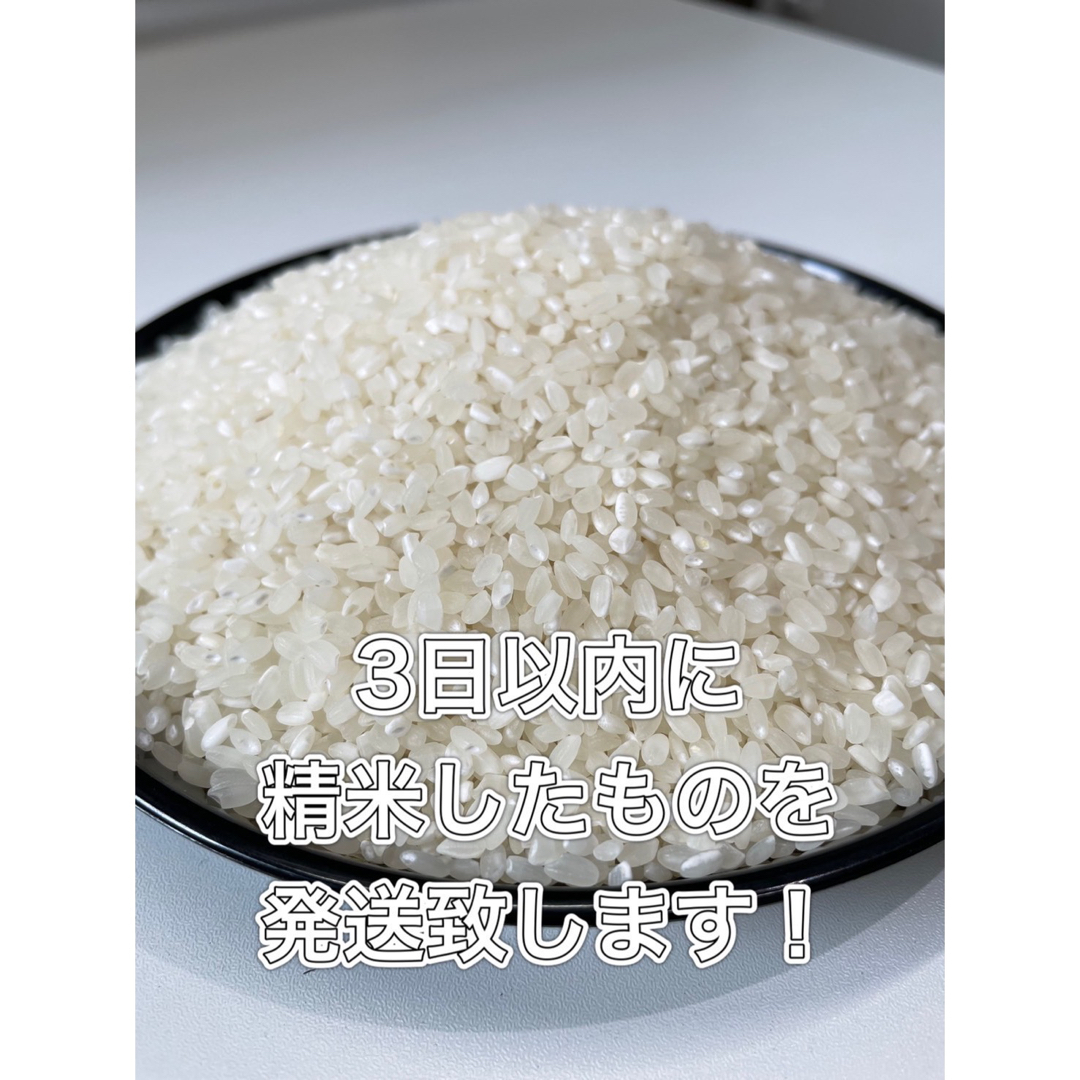 【令和5年収穫】近江のお米 20kg(10kg×2本)