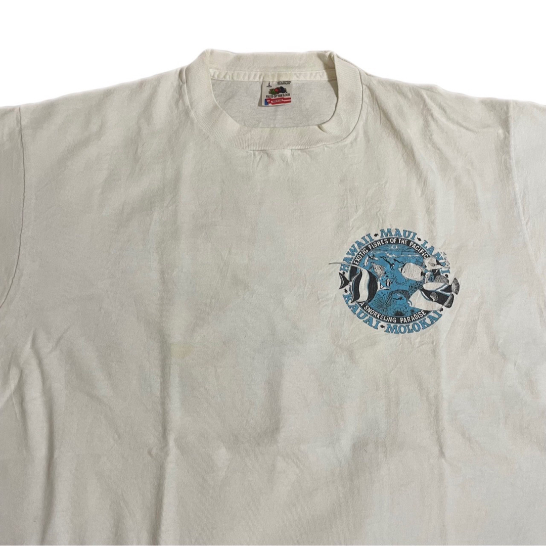 FRUIT OF THE LOOM(フルーツオブザルーム)の90s 古着 フルーツオブザルーム USA製 バックプリント シングルステッチ メンズのトップス(Tシャツ/カットソー(半袖/袖なし))の商品写真