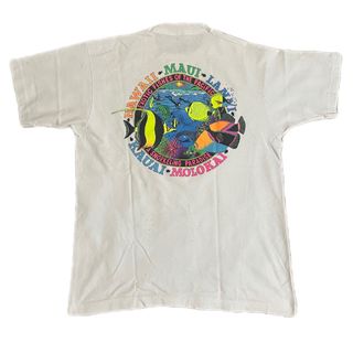 フルーツオブザルーム(FRUIT OF THE LOOM)の90s 古着 フルーツオブザルーム USA製 バックプリント シングルステッチ(Tシャツ/カットソー(半袖/袖なし))