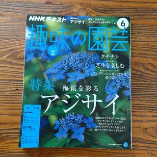 NHK 趣味の園芸 2017年 06月号(その他)