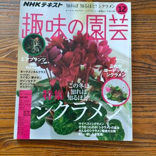 NHK 趣味の園芸 2019年 12月号(その他)