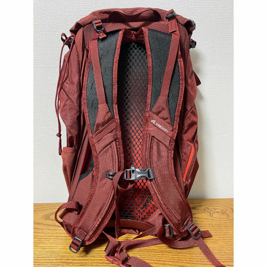 新品未使用品 グレゴリー アリオ２４ - 登山用品