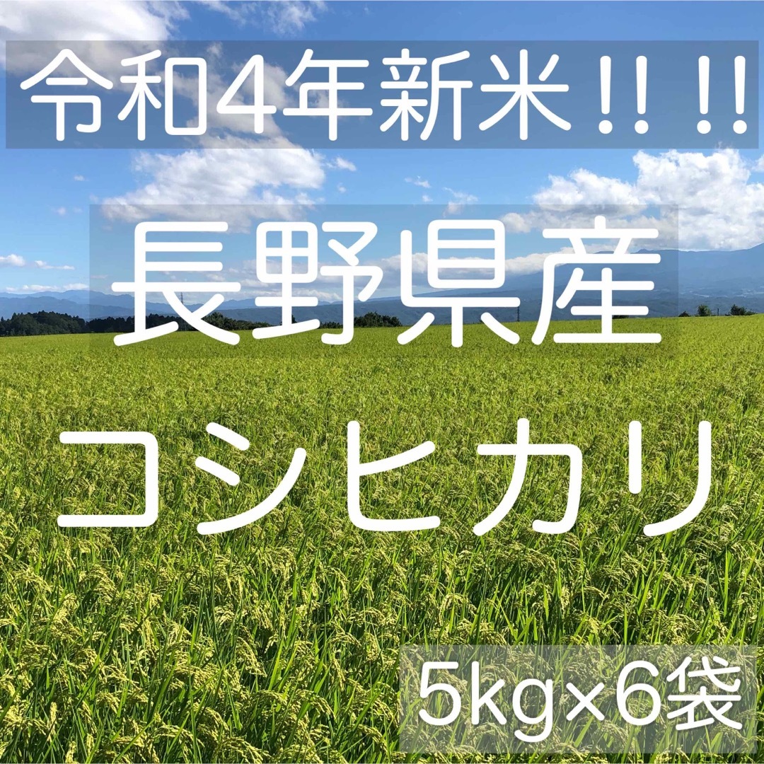 □ぽっきりSALE対象□ 長野県コシヒカリ30キロ白米 食品/飲料/酒